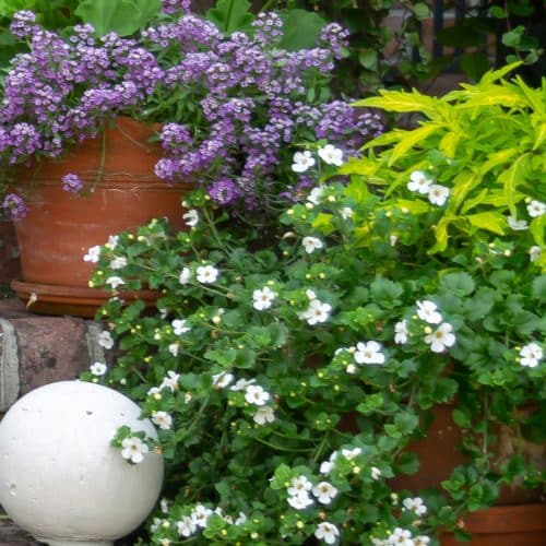 Concrete Garden Ball in front of plants on brick steps.