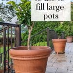 Large Planters on a porch and Tricks to Fill a Large Planter.