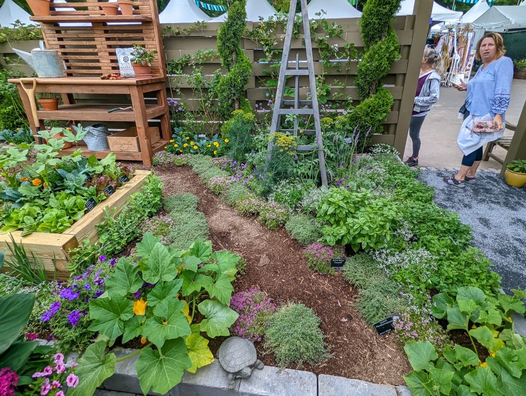 A close up of a vegetable garden