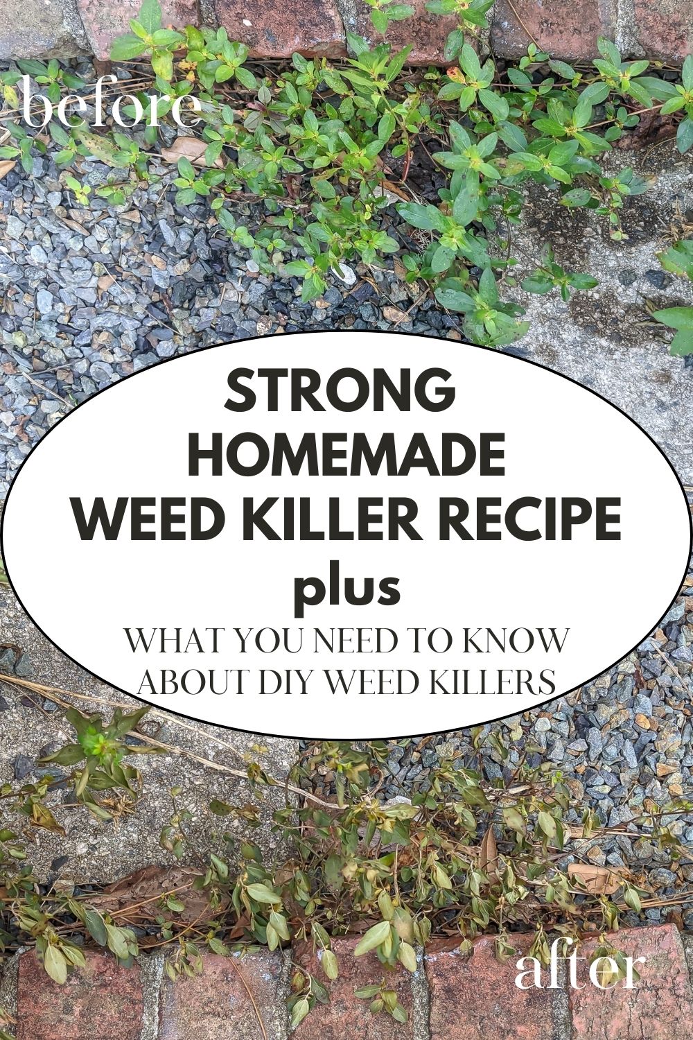 Vinegar Weed Killer Recipe-just the facts · Nourish and Nestle