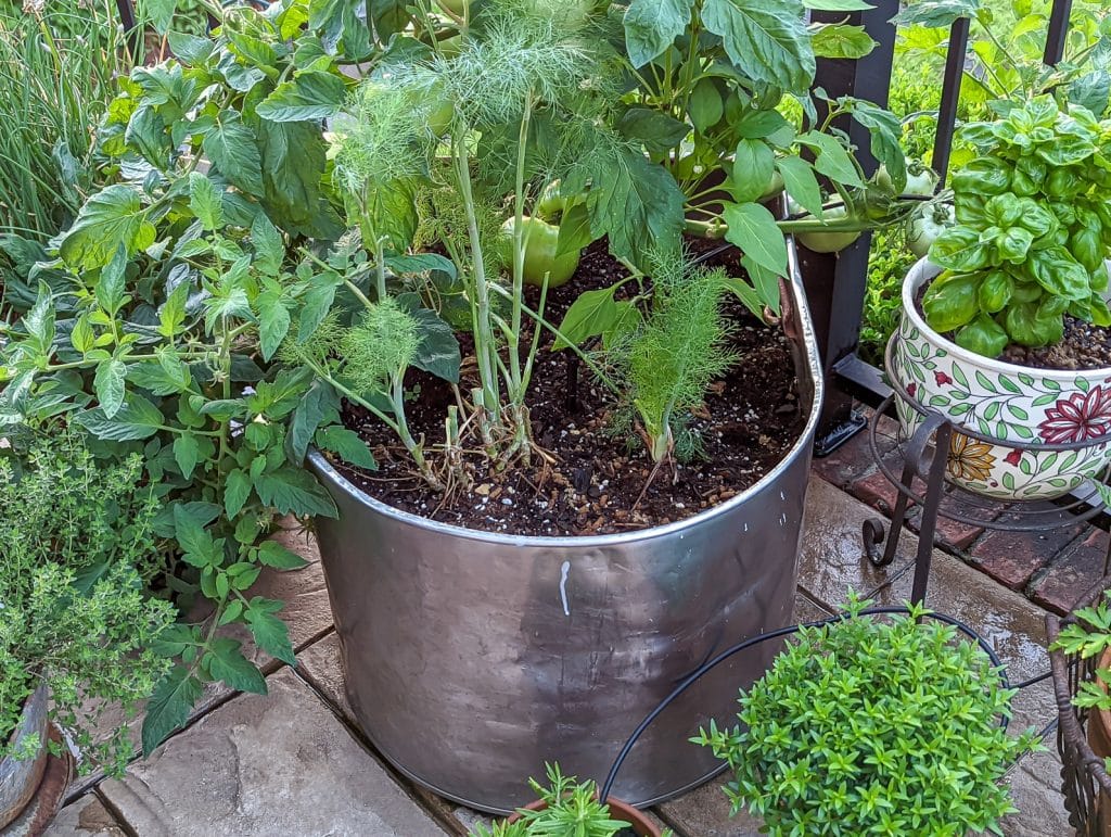 A large tub growing plants.