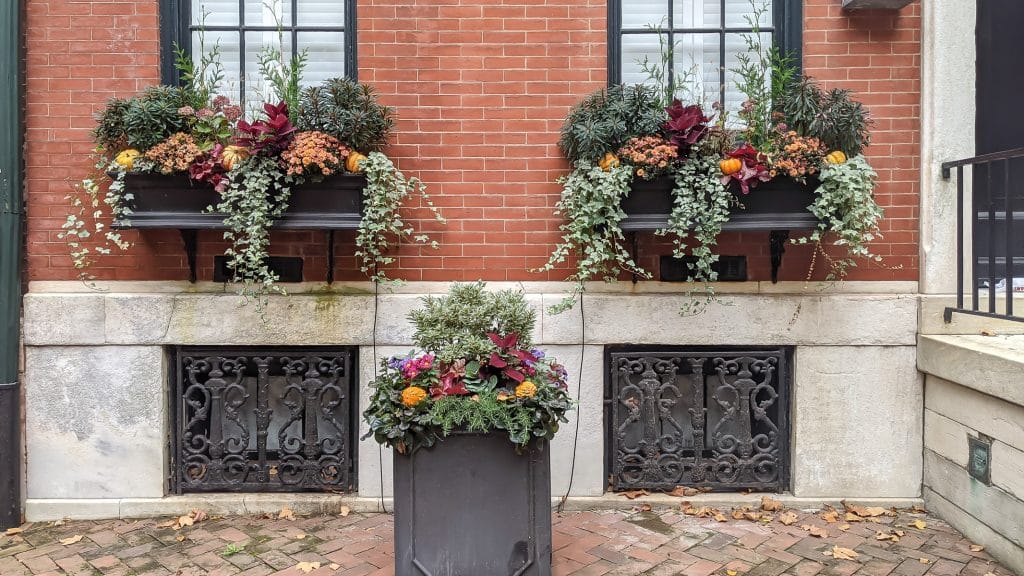 Fall window boxes and container garden featuring euphorbia, red coleus and heuchera, juniper and rosemary.