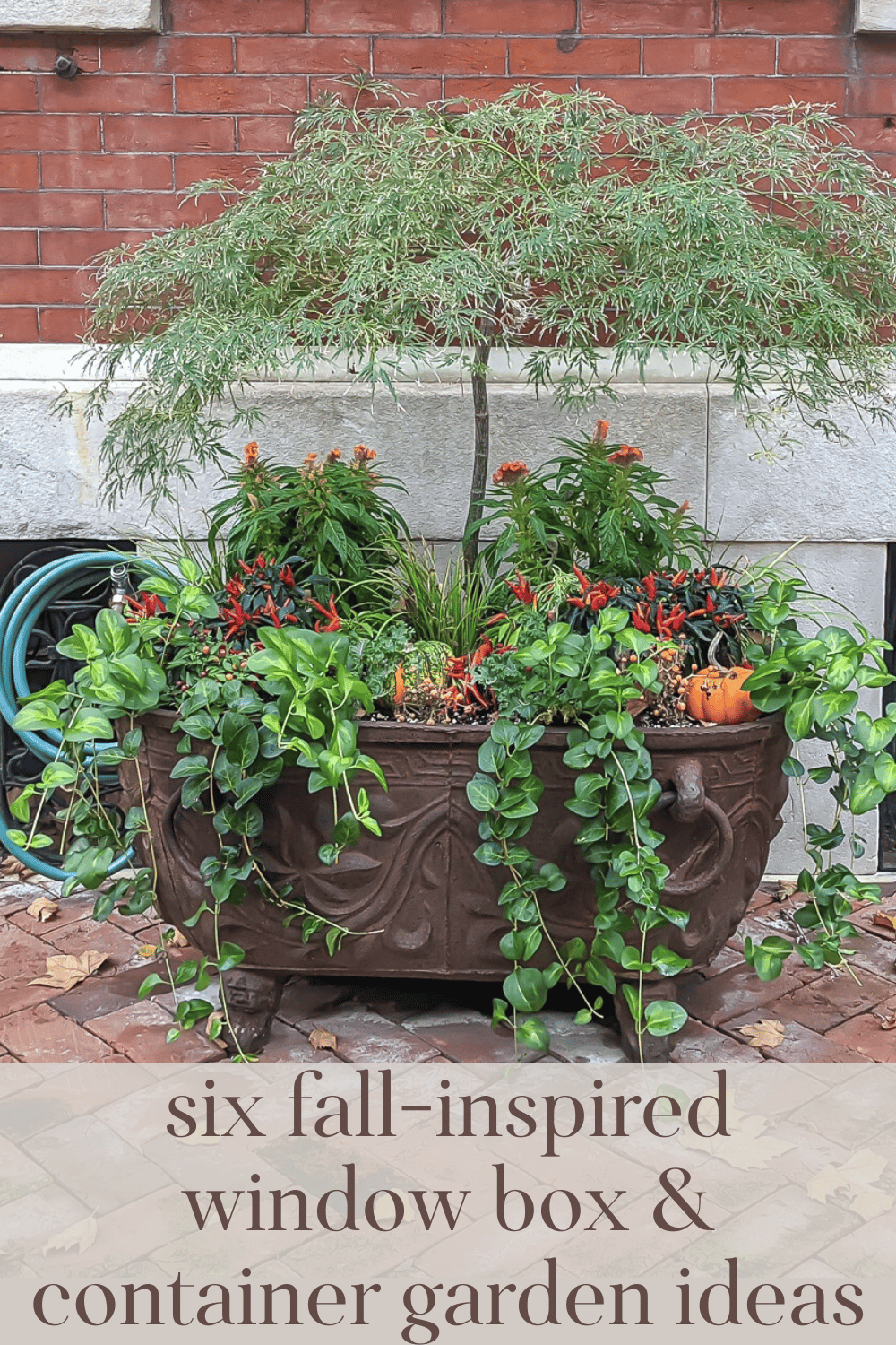 Fall Container Gardens and Window Boxes #2 · Nourish and Nestle