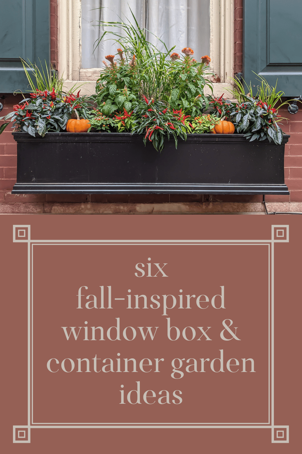 Fall Container Gardens and Window Boxes #2 · Nourish and Nestle