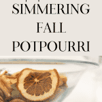 Bowl of Simmering Fall Potpourri