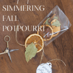 Bag of Simmering Fall Potpourri.
