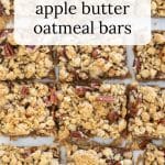 Apple Butter Oatmeal bars overhead.