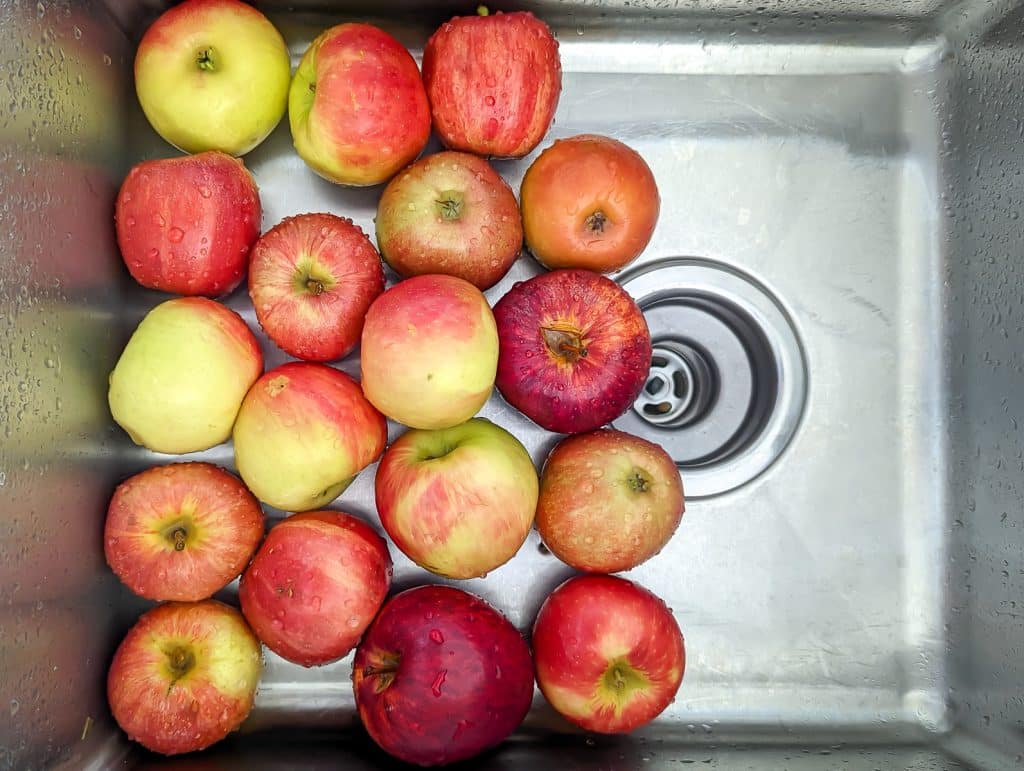A variety of apples in the sink, after just being washed to make sugar free apple butter.