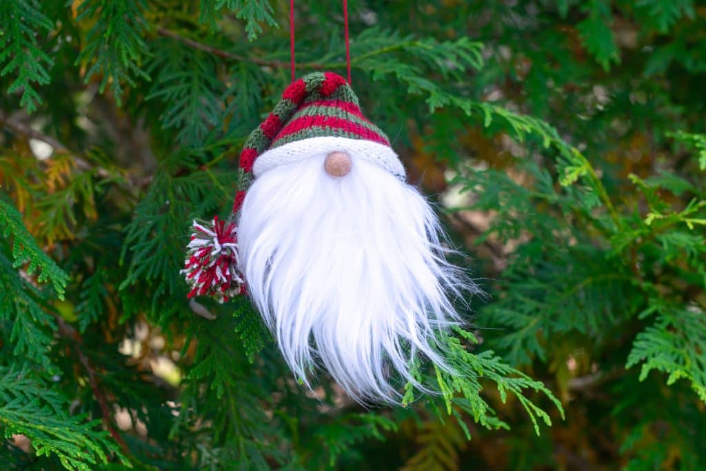 Knitted Gnome in Evergreen Tree.