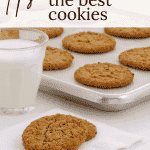 baked cookies and a cup of milk.