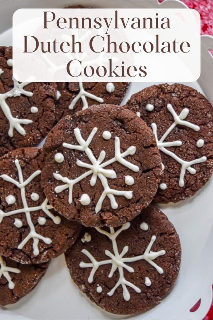 Chocolate cookies with snowflake icing design.