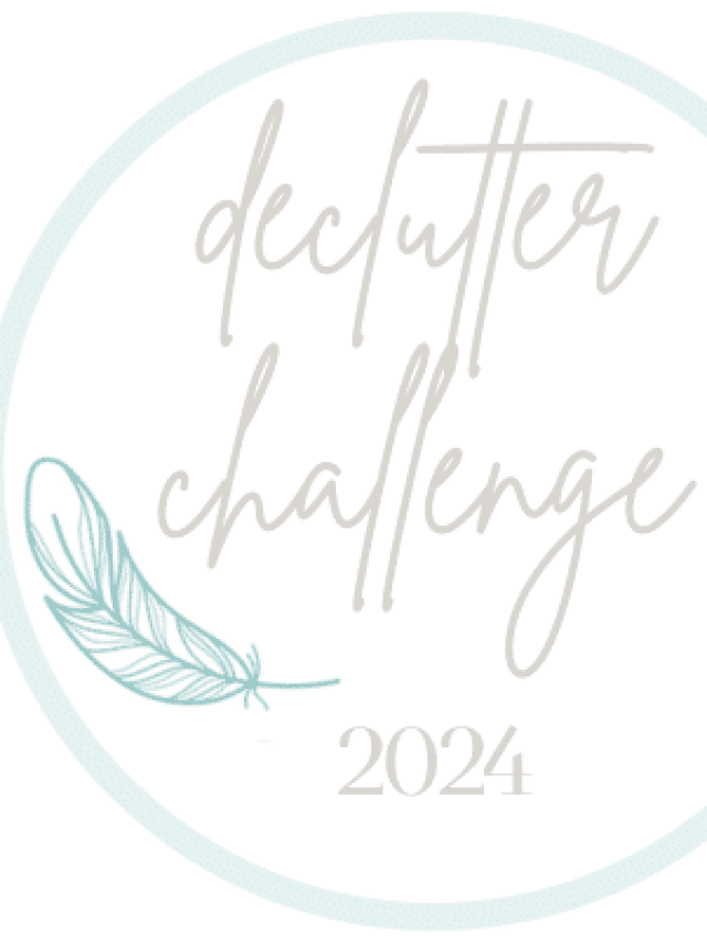 Declutter Challenge 2024 Story