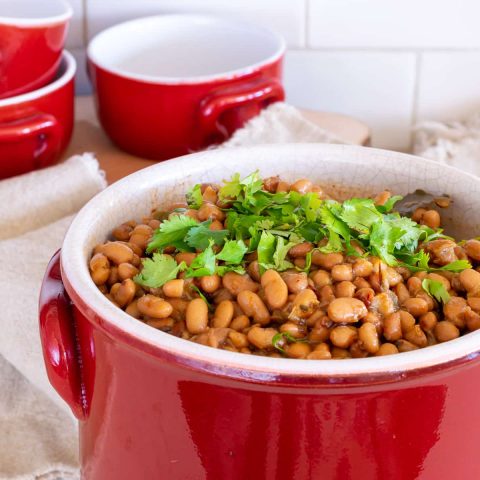 Crock Pot Pinto Beans · Nourish and Nestle