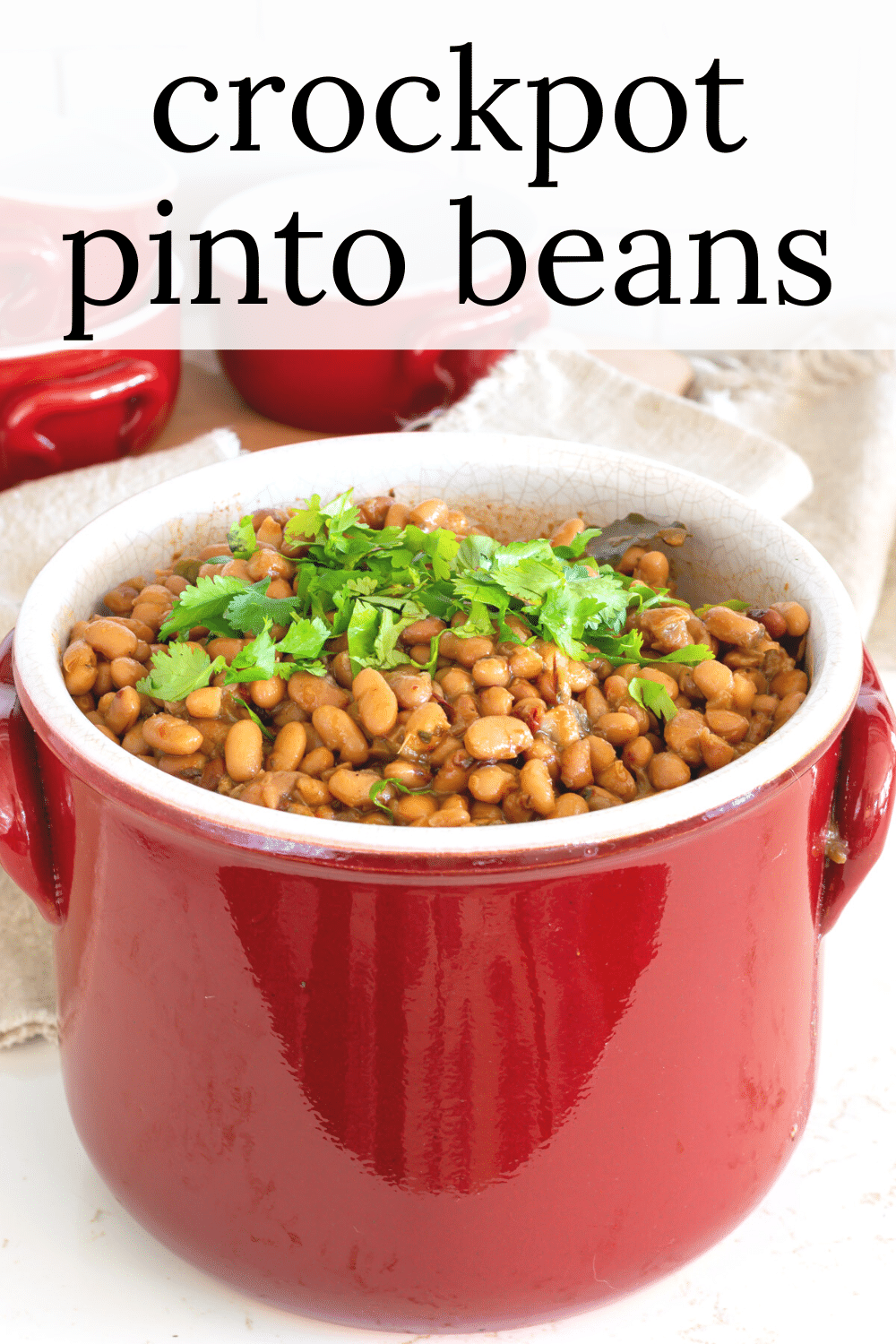 Crock Pot Pinto Beans · Nourish and Nestle