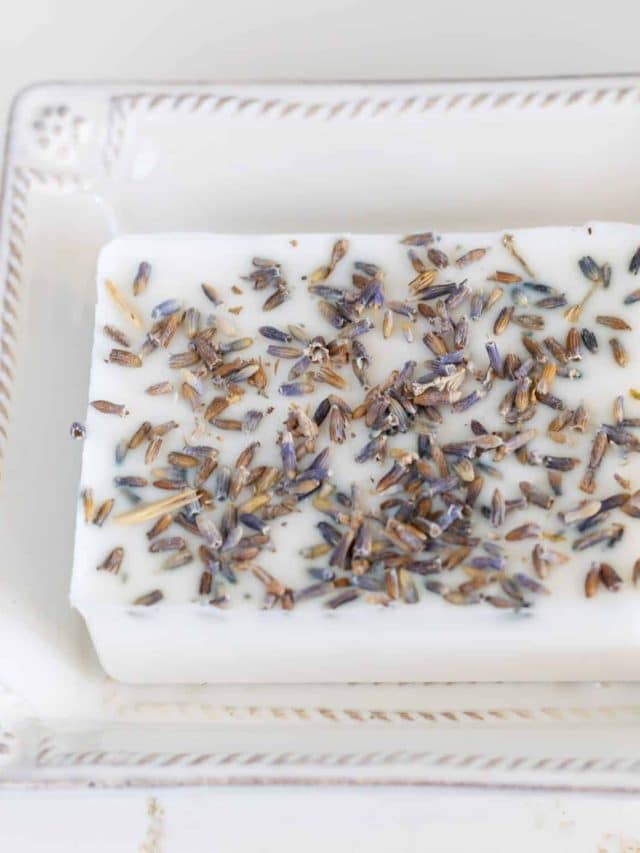 Bar of goat milk soap in square soap dish.