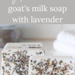 Bars of goat milk soap standing on their side with dried lavender buds.
