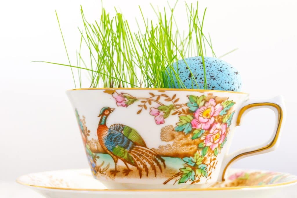 grass and egg growing in a teacup