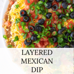 Overhead of Layered Taco Dip