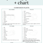 Companion Planting Chart.