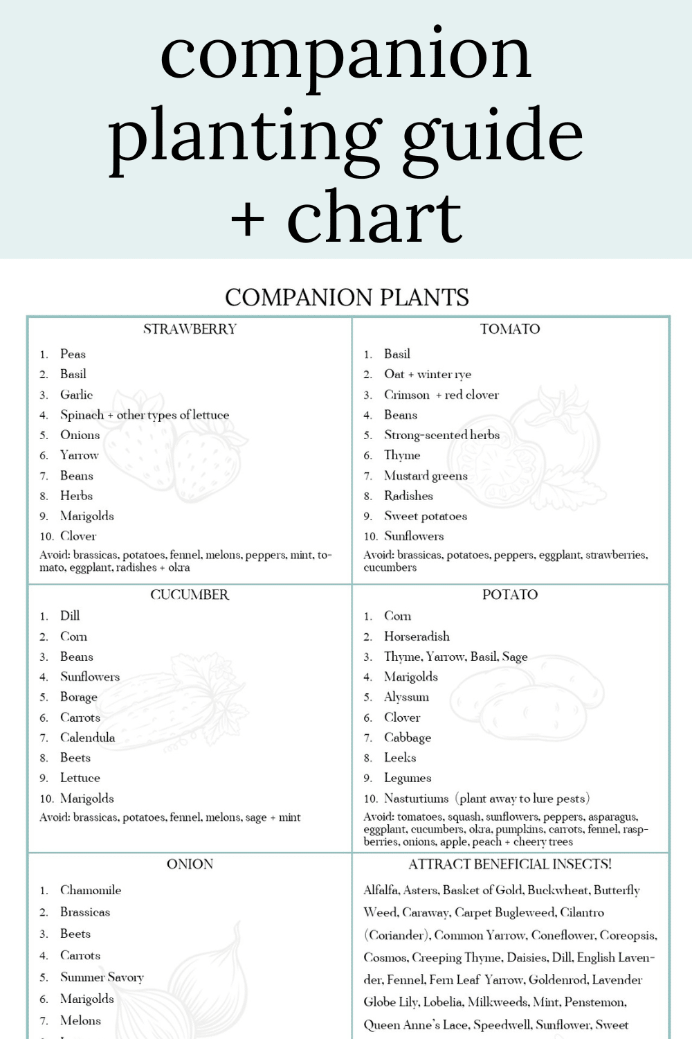 Companion Planting Chart + Guide · Nourish and Nestle