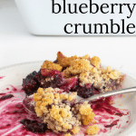 Blueberry and Apple Crumble on a plate.