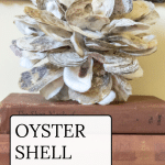 Oyster Shell cluster on a stack of books.