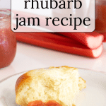 Rhubarb jam on a piece of bread.