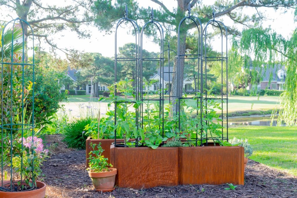 Corten steel vegetable raised garden beds.