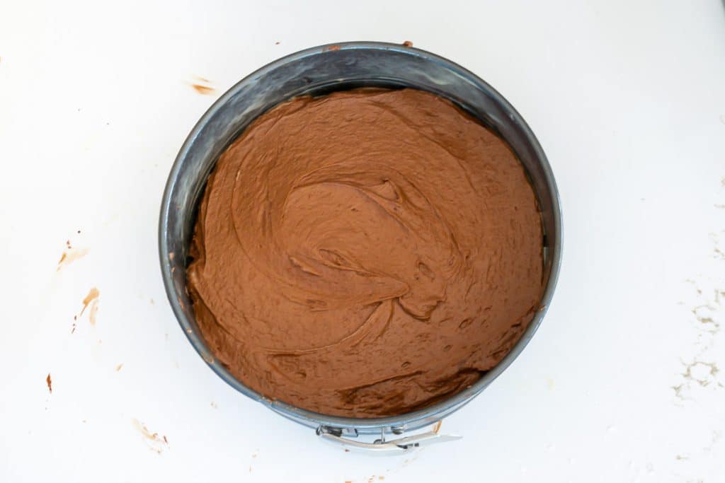 Brownie Cake batter in springform pan.