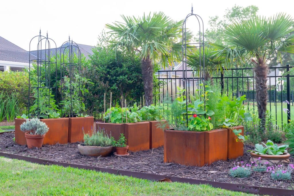 Corten steel vegetable raised garden beds.