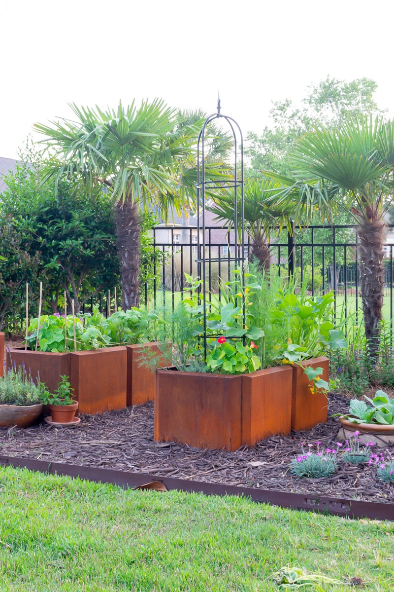 Everything You Want to Know About Raised Garden Beds
