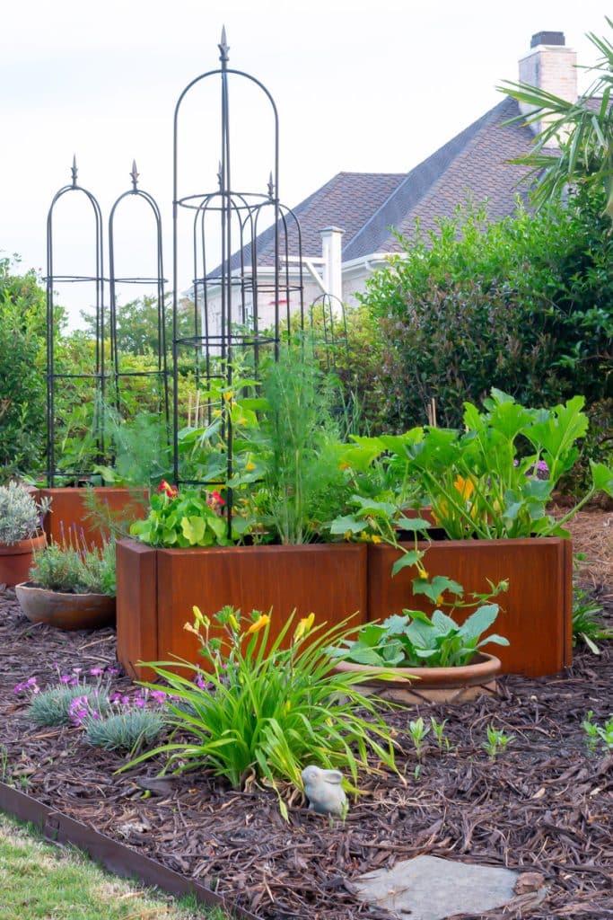 Corten steel vegetable raised garden beds.