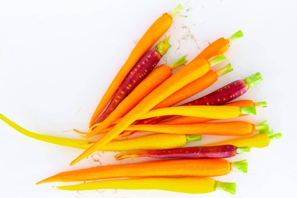 Fresh rainbow carrots.