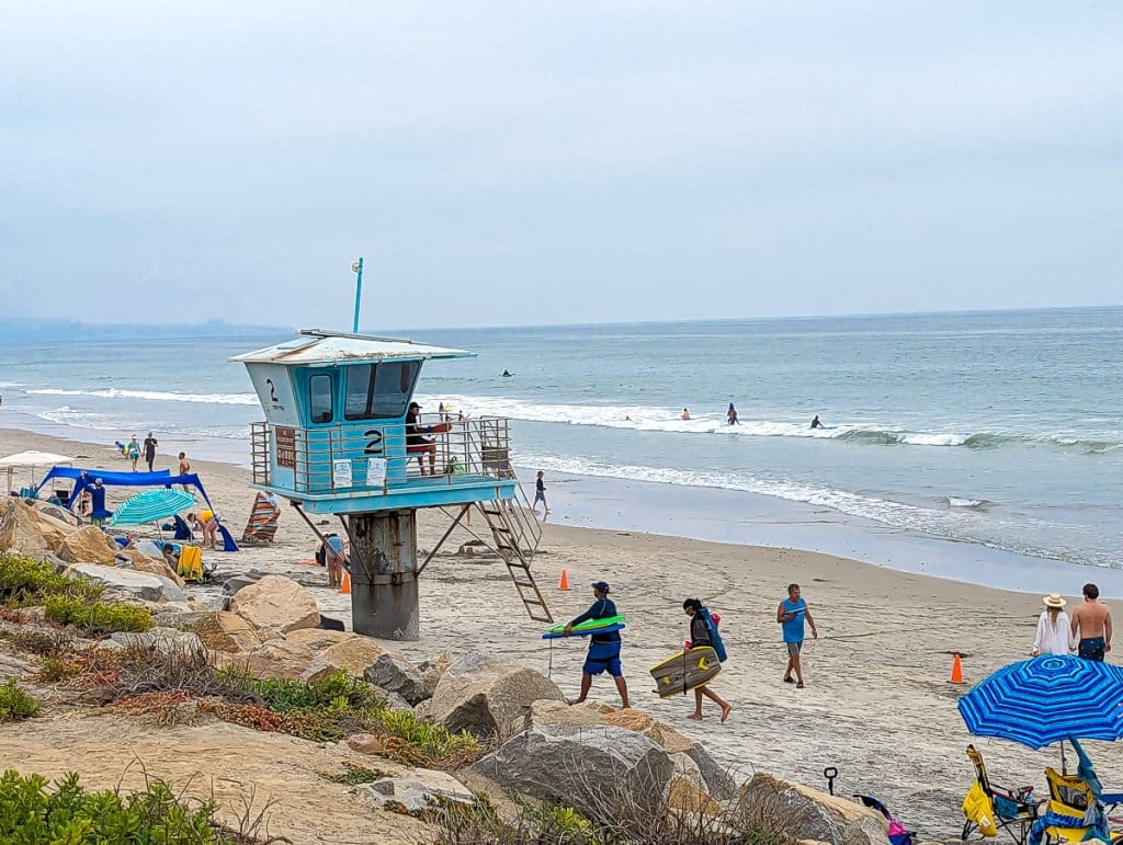 Torrey Pines State Park Beach