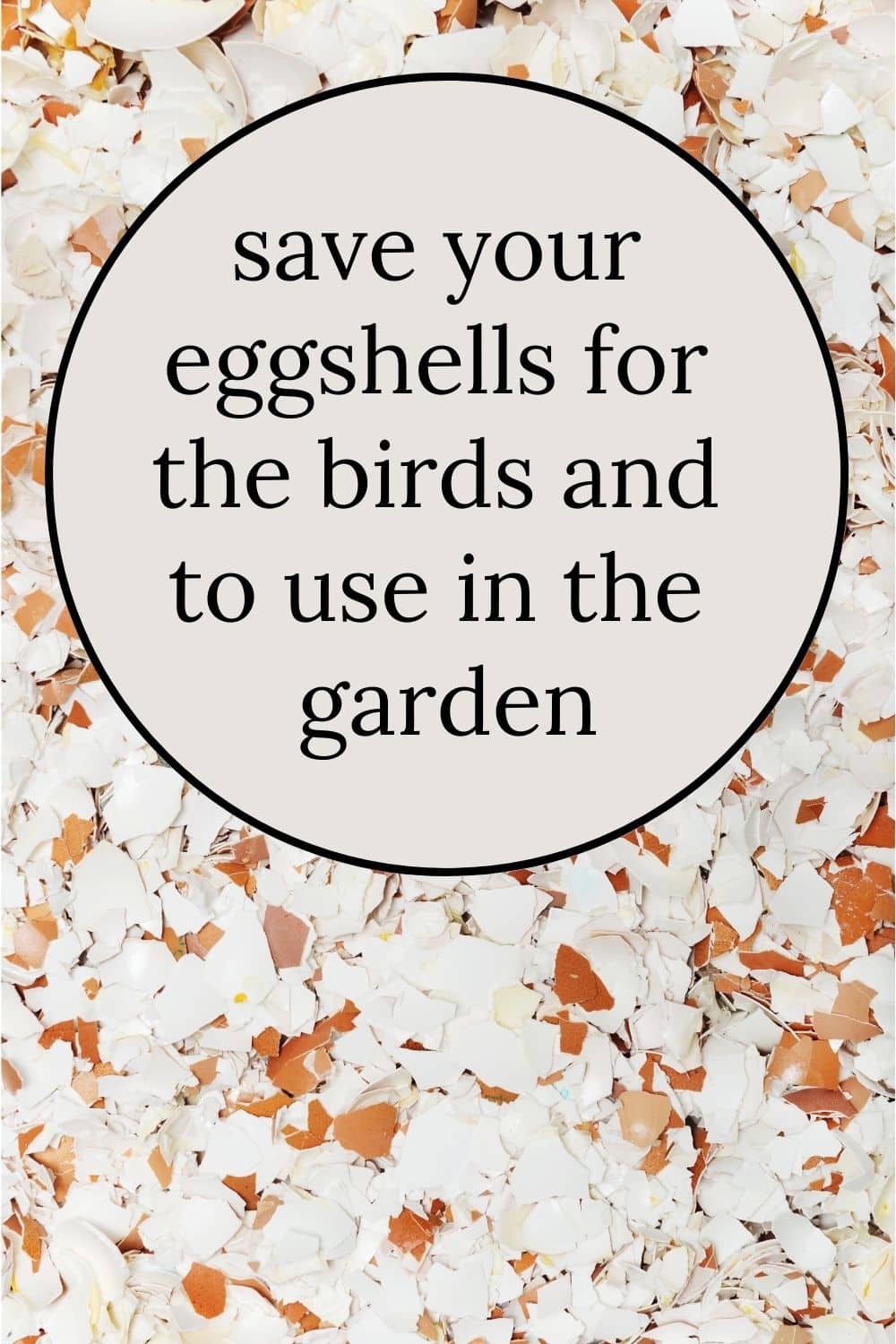 How to Use Eggshells for Plants + Garden · Nourish and Nestle