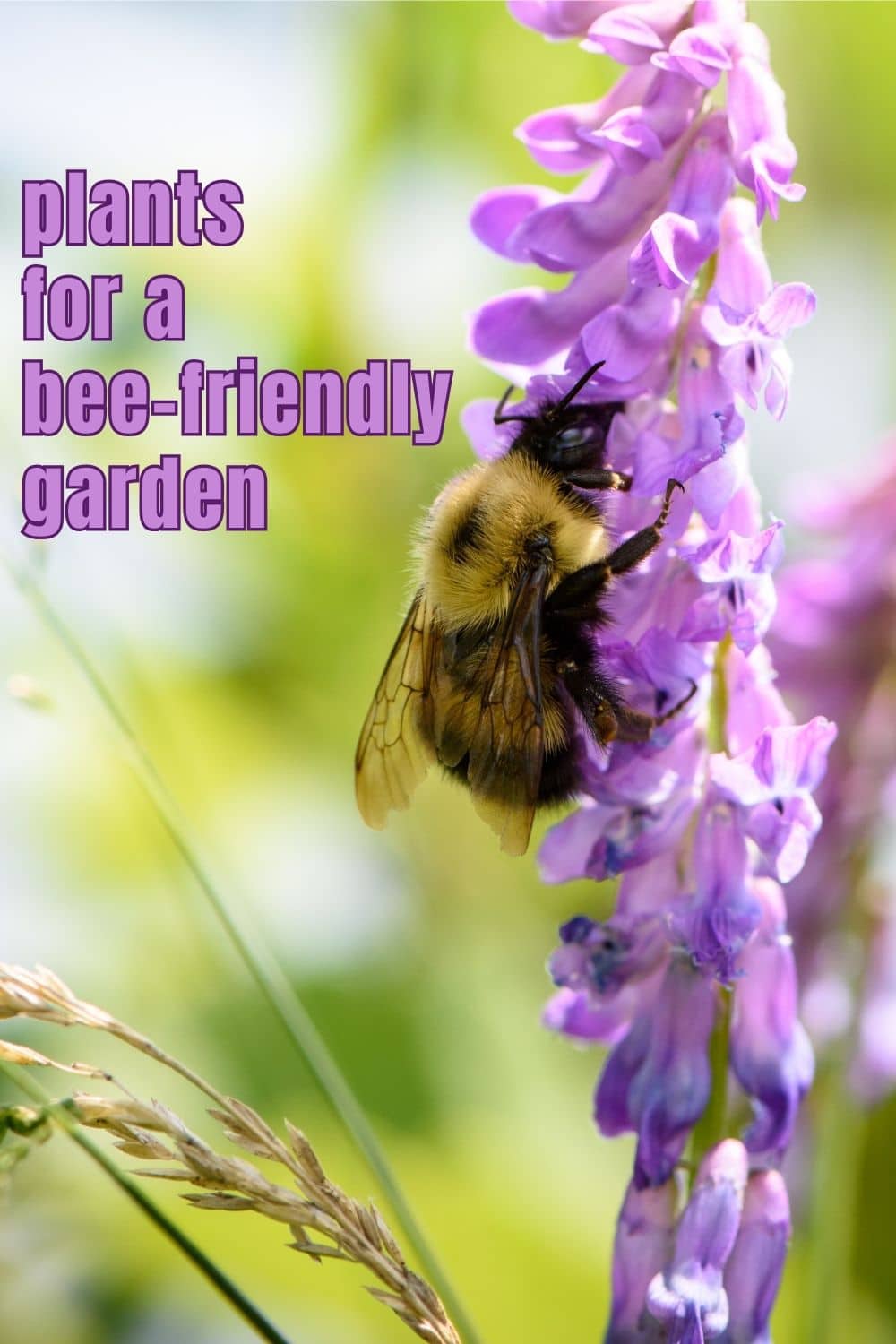 Flowers for Bees: Make a Bee Friendly Garden · Nourish and Nestle