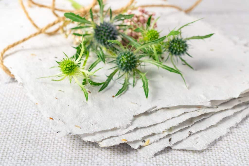 Seed paper with thistle.
