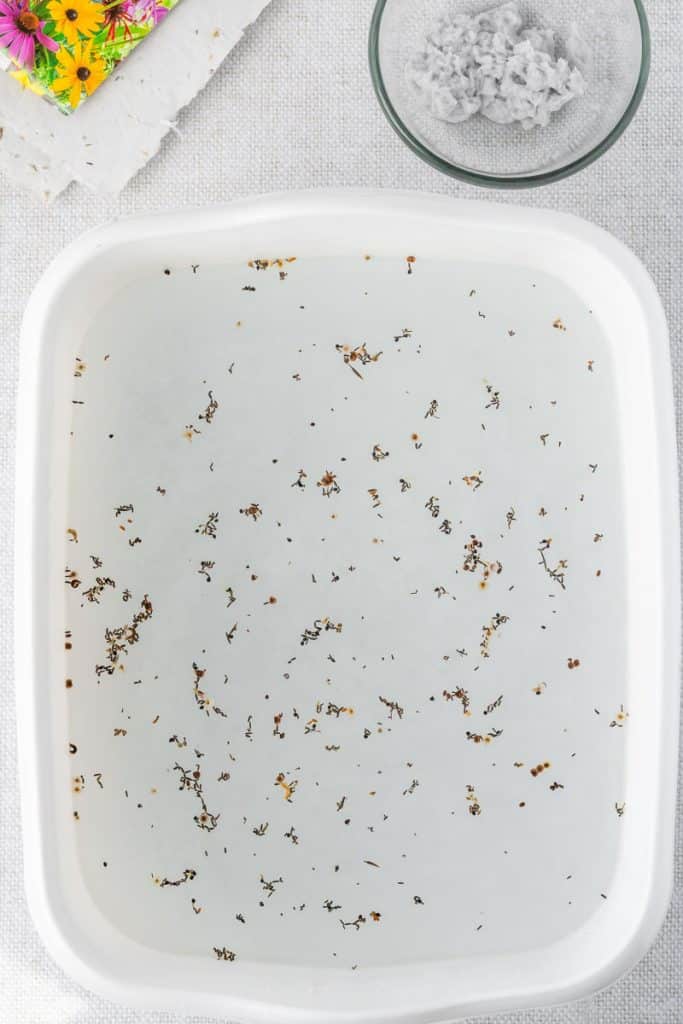 Tub with paper puree and seeds.