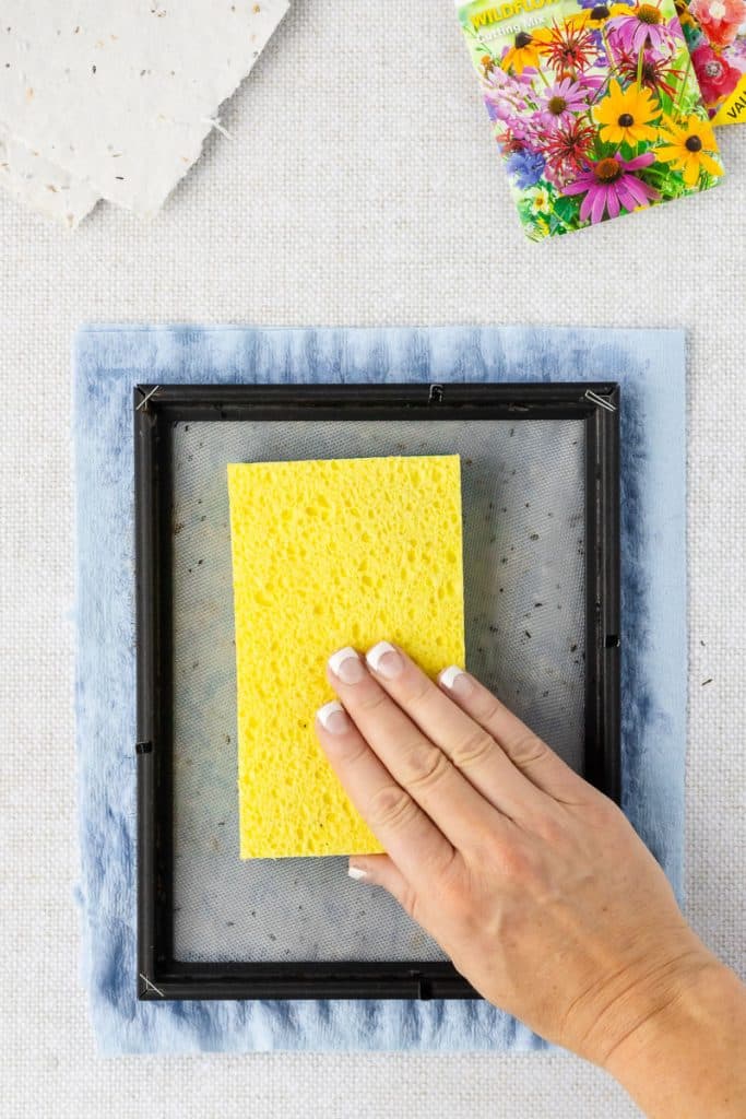 Sponging seed paper.