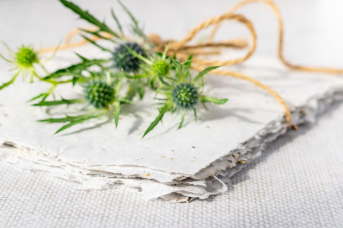 how to make seed paper · Nourish and Nestle