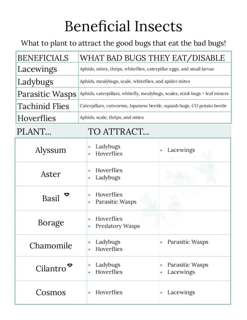 beneficial insects chart, page one.