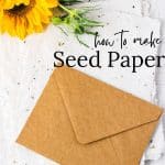 Seed paper with envelope and sunflower.