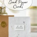 Wildflower Seed Paper Cards.