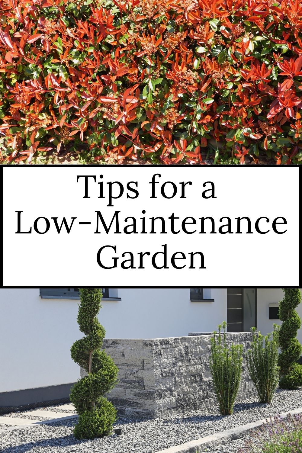 Low-maintenance Garden Tips · Nourish And Nestle