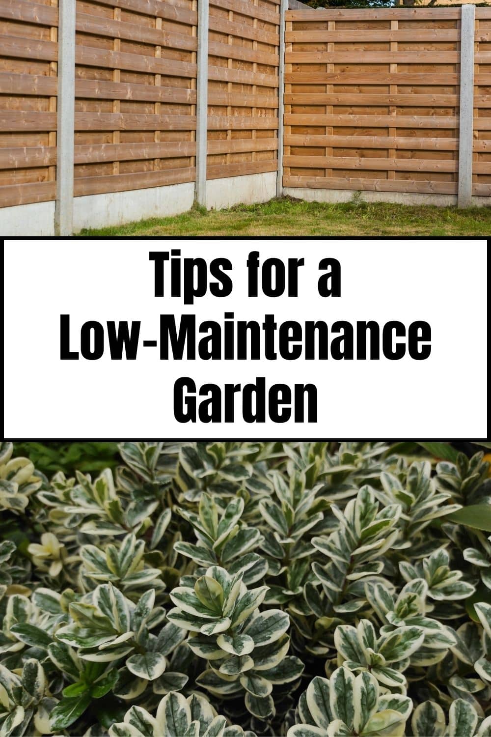 Less Maintance Low-Maintenance Garden Tips · Nourish and Nestle