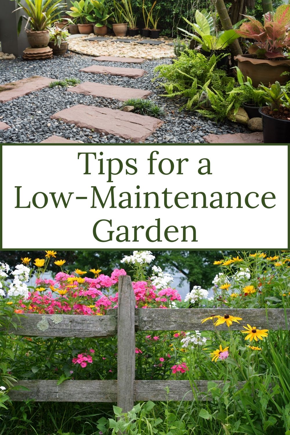 Less Maintance Low-Maintenance Garden Tips · Nourish and Nestle