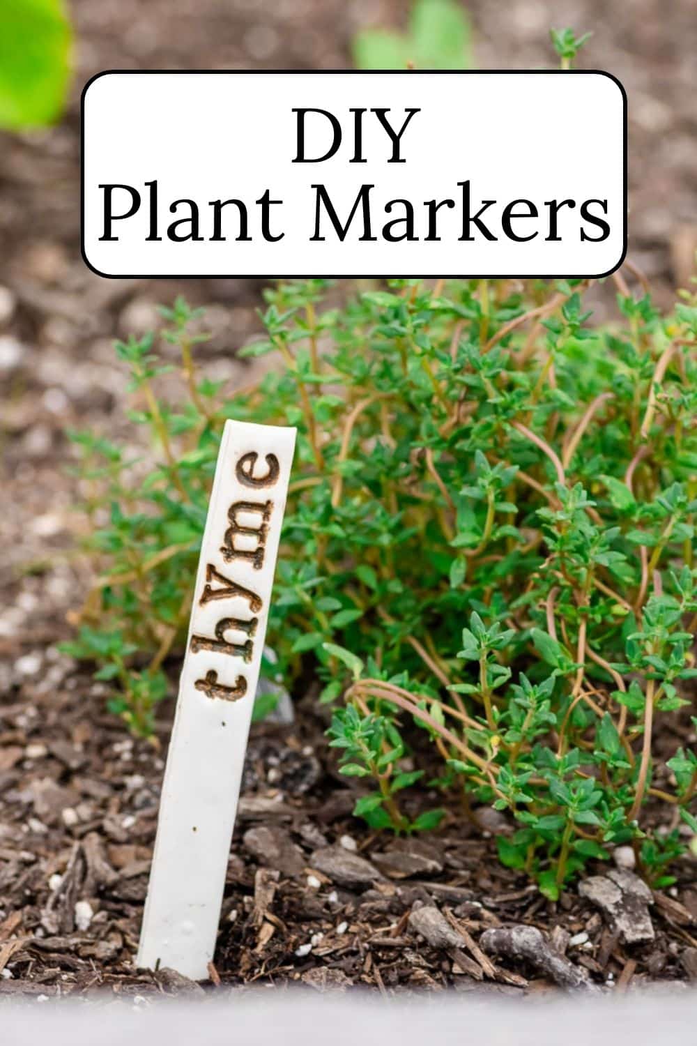 DIY Garden Markers · Nourish and Nestle