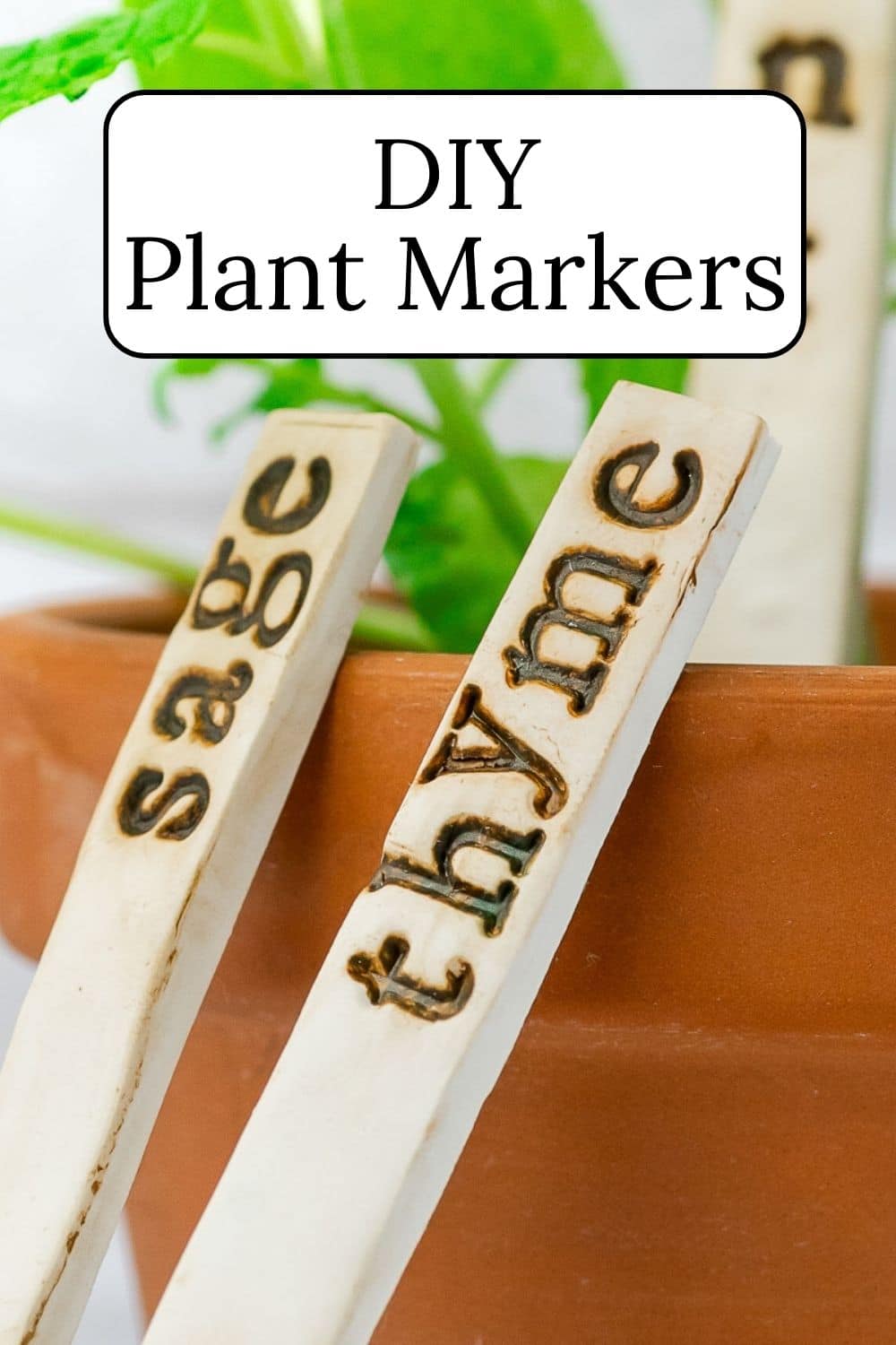 DIY Garden Markers · Nourish and Nestle