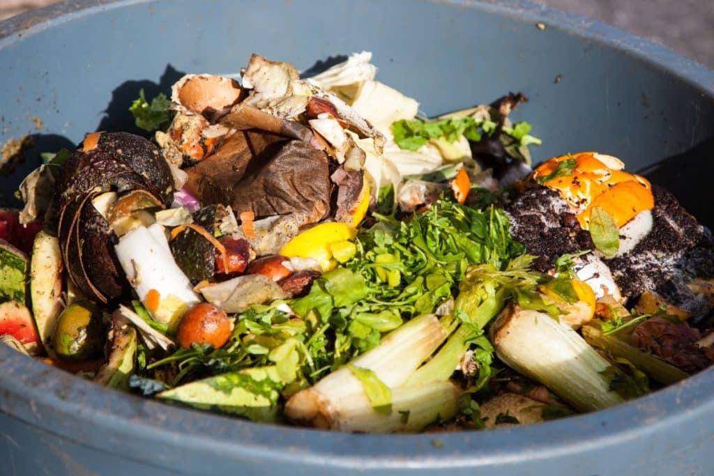 Food waste in a bin.