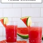Cups of Watermelon Vodka Cocktail.